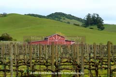 Red Barn is a Sonoma Valley photo shot in spring